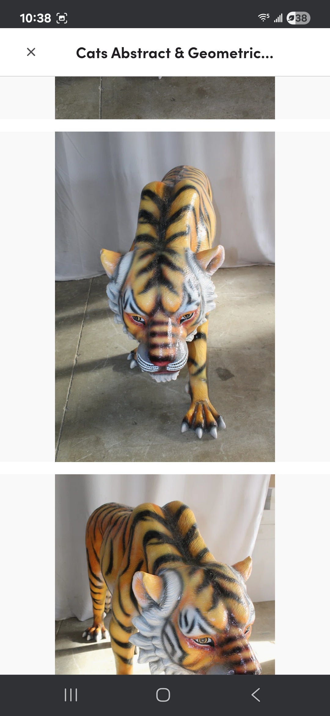 Life-size Fiberglass Tiger Statue. Handcrafted and casted, this stunning piece embodies power and grace. Add a touch of the wild to your space with this majestic sculpture. Size: 92"L x 20"W x 40"H. Weight is: 90L