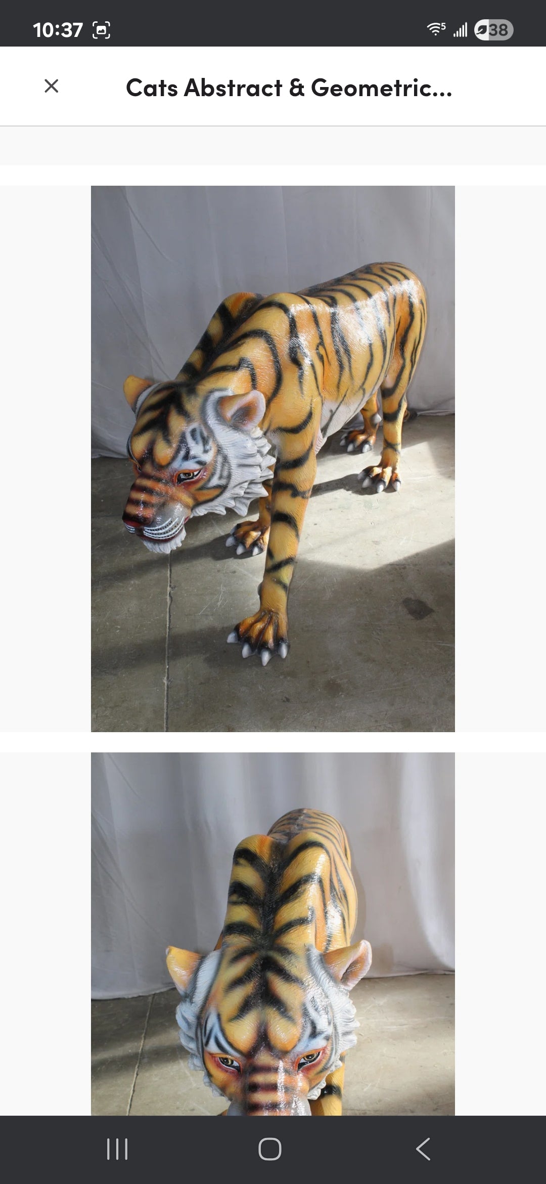 Life-size Fiberglass Tiger Statue. Handcrafted and casted, this stunning piece embodies power and grace. Add a touch of the wild to your space with this majestic sculpture. Size: 92"L x 20"W x 40"H. Weight is: 90L