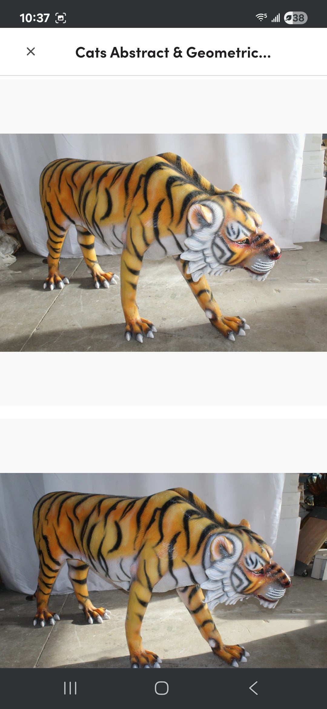 Life-size Fiberglass Tiger Statue. Handcrafted and casted, this stunning piece embodies power and grace. Add a touch of the wild to your space with this majestic sculpture. Size: 92"L x 20"W x 40"H. Weight is: 90L