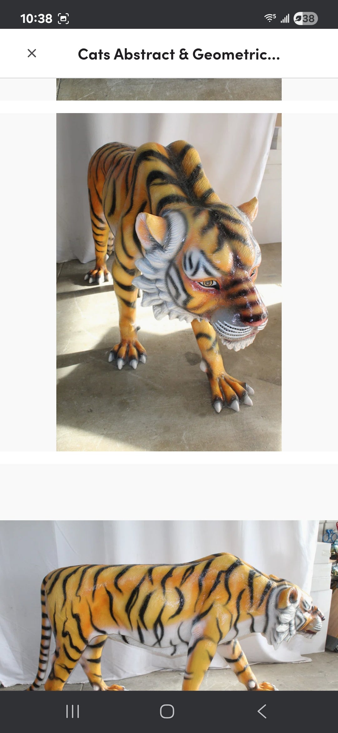 Life-size Fiberglass Tiger Statue. Handcrafted and casted, this stunning piece embodies power and grace. Add a touch of the wild to your space with this majestic sculpture. Size: 92"L x 20"W x 40"H. Weight is: 90L