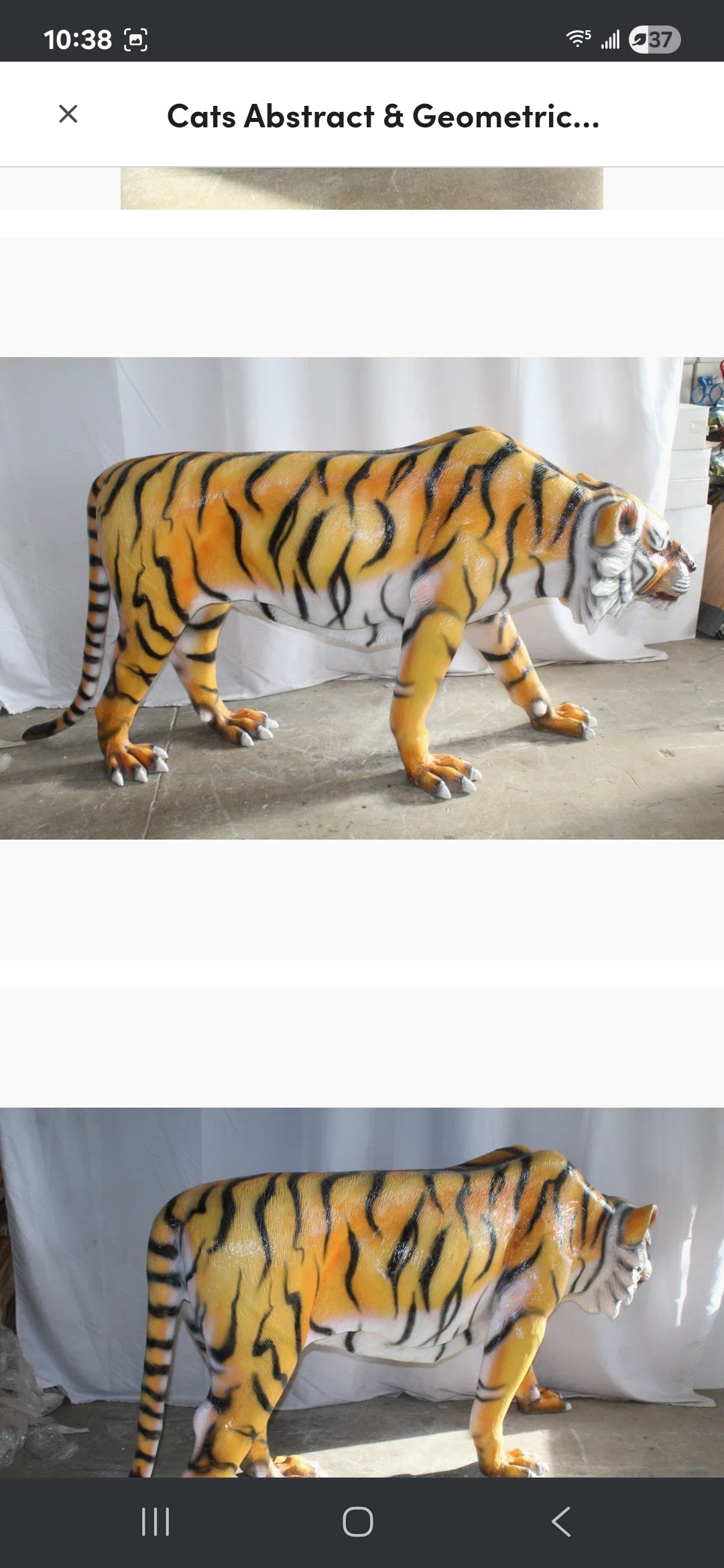 Life-size Fiberglass Tiger Statue. Handcrafted and casted, this stunning piece embodies power and grace. Add a touch of the wild to your space with this majestic sculpture. Size: 92"L x 20"W x 40"H. Weight is: 90L
