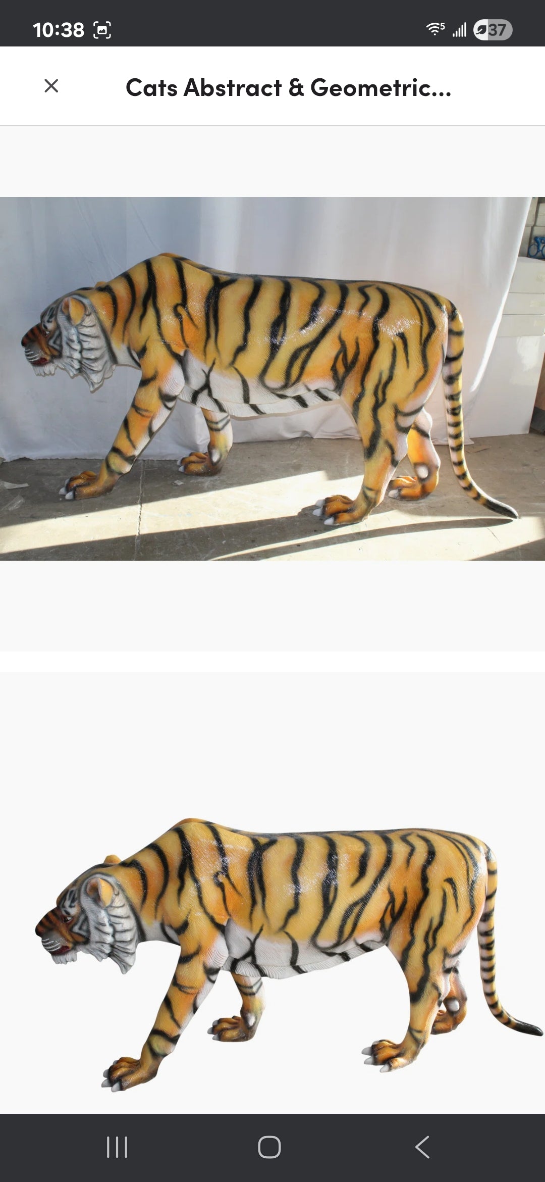 Life-size Fiberglass Tiger Statue. Handcrafted and casted, this stunning piece embodies power and grace. Add a touch of the wild to your space with this majestic sculpture. Size: 92"L x 20"W x 40"H. Weight is: 90L