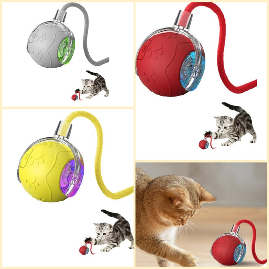 Chase Pet Toy Ball, 2025 Upgraded 360° Automatic Rolling Cat Ball Toy with Rope, Self-Entertainment Interactive Pet Toy Balls for Cats,Dogs (Red)