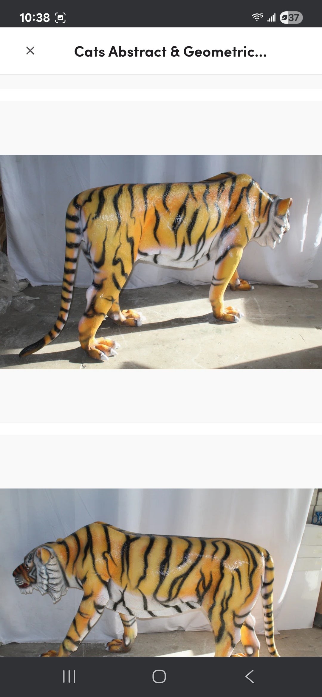 Life-size Fiberglass Tiger Statue. Handcrafted and casted, this stunning piece embodies power and grace. Add a touch of the wild to your space with this majestic sculpture. Size: 92"L x 20"W x 40"H. Weight is: 90L